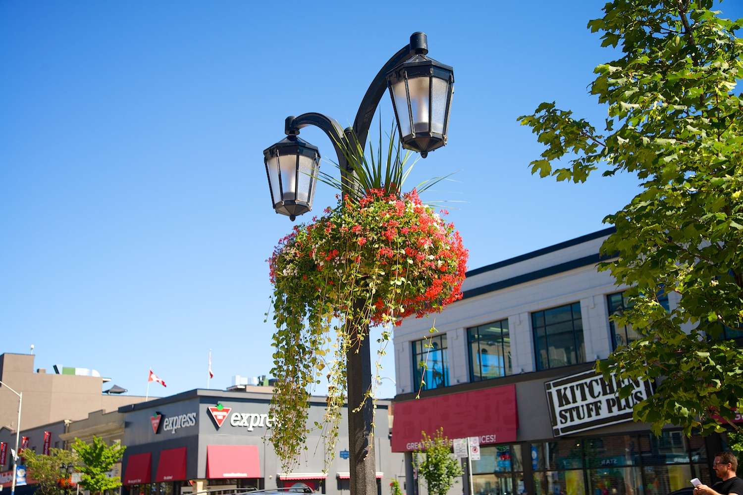 Municipal floral hoop supporting a hanging flower basket on a street pole in a downtown streetscape.